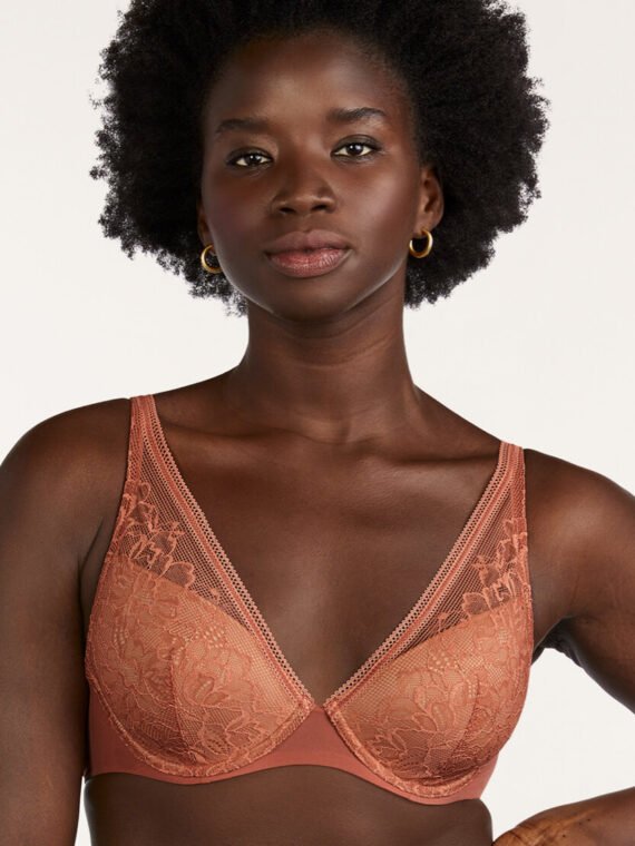 The Lace Plunge Bra