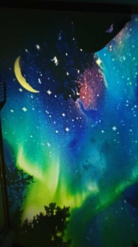 Galaxy Projector, 2-in-1 Starry Sky Projector & Night Light, 360° Adjustable LED Space Galaxy Lamp, Milky Way Mood Lighting, HD Image Star Projectors for Bedroom Hallway Ceiling Decor (12Pcs) photo review