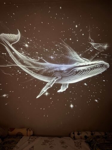 Galaxy Projector, 2-in-1 Starry Sky Projector & Night Light, 360° Adjustable LED Space Galaxy Lamp, Milky Way Mood Lighting, HD Image Star Projectors for Bedroom Hallway Ceiling Decor (12Pcs) photo review